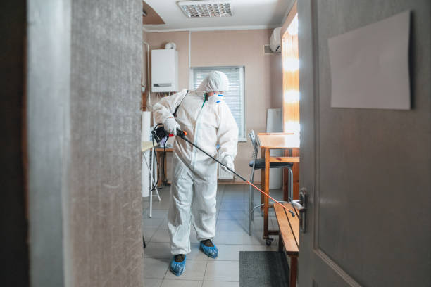 Best Crawl Space Mold Remediation  in Hidden Valley Lake, CA