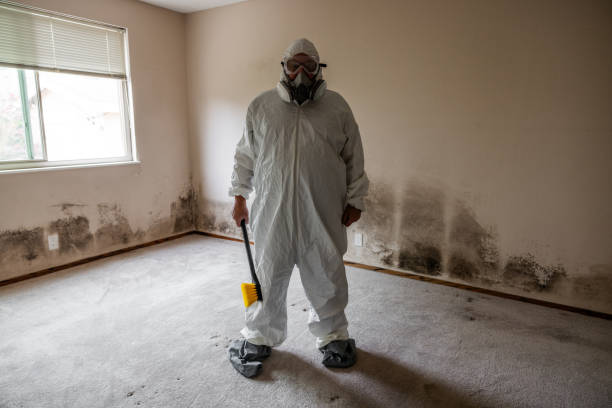 Best Residential Mold Inspection & Testing  in Hidden Valley Lake, CA