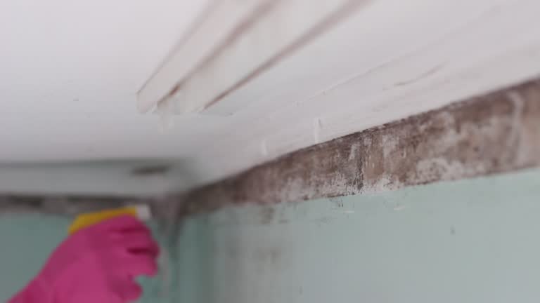 Asbestos and Lead Testing During Mold Inspection in Hidden Valley Lake, CA